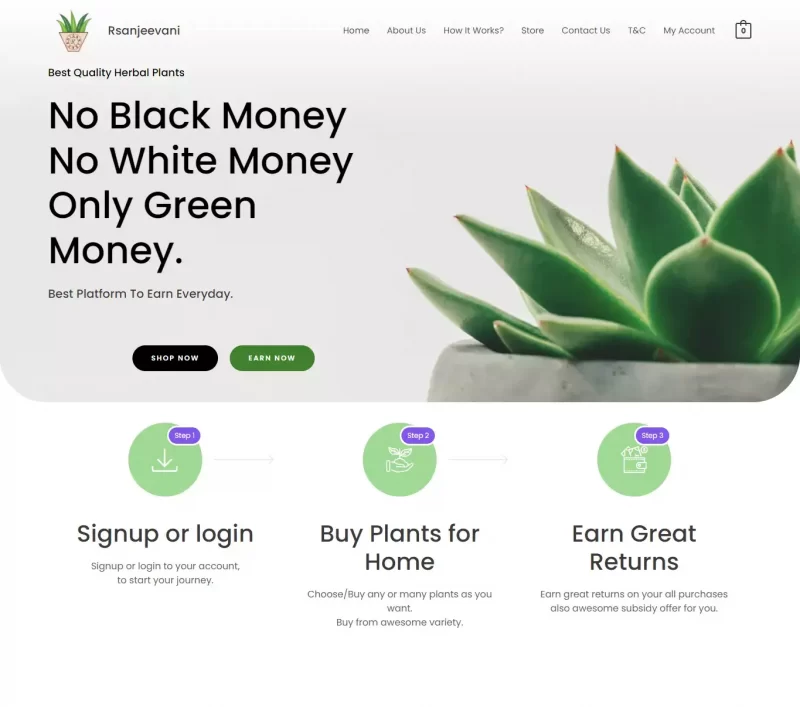 Rsanjeevani Website Design and Development