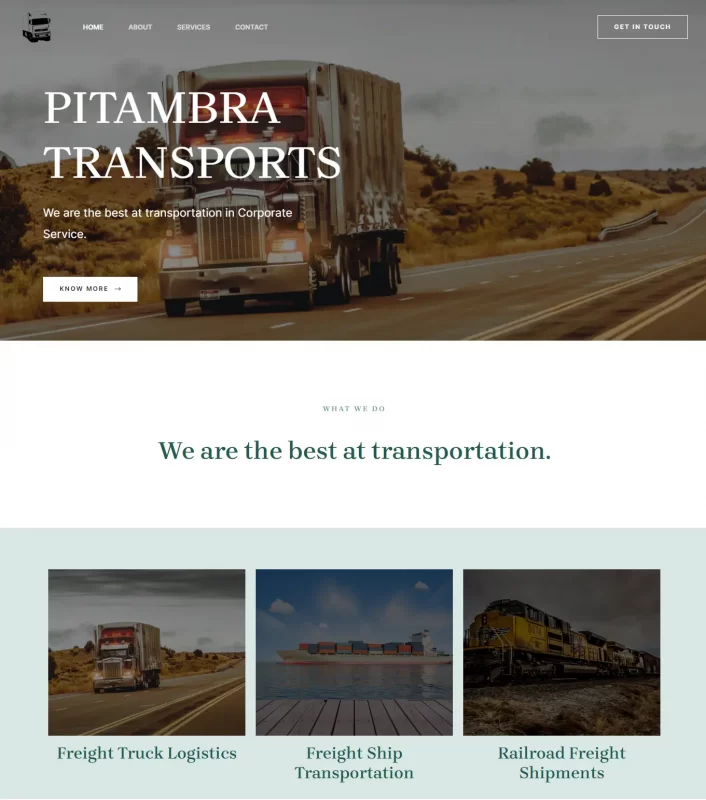 Pitambra Website